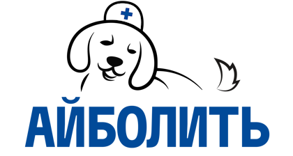 Ветеринарна клініка Айболіт, Цілодобова ветклініка в Одесі